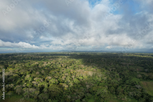 Rainforest in central america background