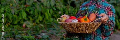 A child holds a harvest of vegetables in his hands. Selective focus