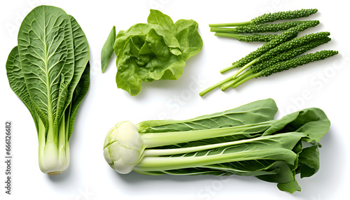 Beautiful Chinese vegetables and leaf elements, set of various types of Bok Choy (Pak Choi) and Chinese Broccoli (Gai Lan), Snow Peas, isolated on white background photo