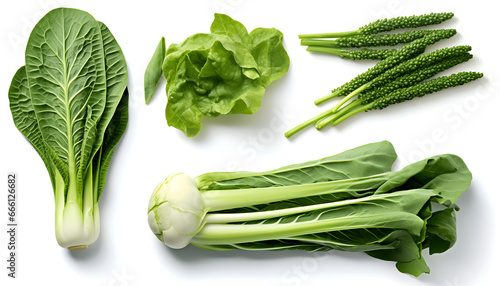 Beautiful Chinese vegetables and leaf elements, set of various types of Bok Choy (Pak Choi) and Chinese Broccoli (Gai Lan), Snow Peas, isolated on white background
