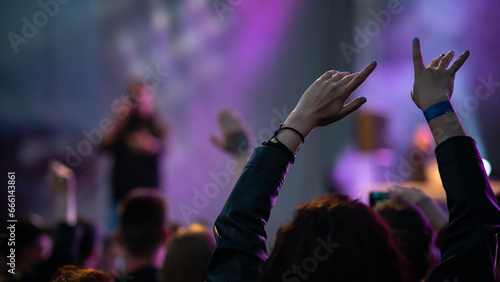 crowd at concert