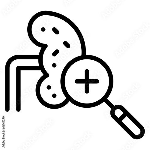 Kidney Checkup Icon