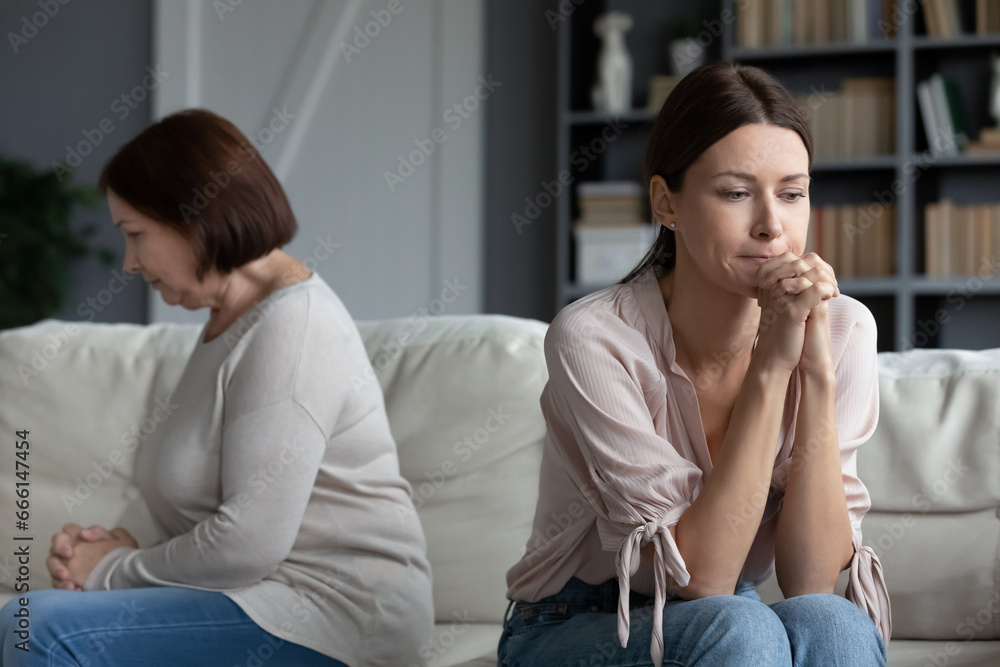 Frustrated adult daughter seated on couch with middle-aged sad mother women not looking talking after quarrel, concept of different opinions and outlook on life, generational gap, spoiled relations Frustrated adult daughter seated on couch with middle-aged sad mother women not looking talking after quarrel, concept of different opinions and outlook on life, generational gap, spoiled relations