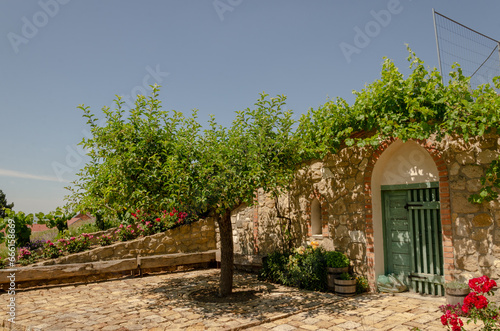 wine cellar