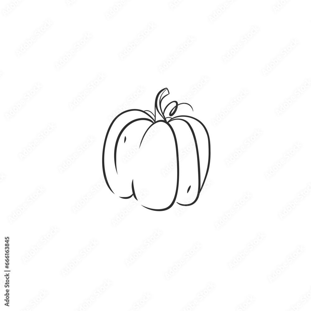 Hand drawn vector abstract graphic,black, line art contour autumn vegetable, harvest thanksgiving and Halloween pumpkin outline isolated. Outline autumn decoration design concept. Autumn symbol icon. Hand drawn vector abstract graphic,black, line art contour autumn vegetable, harvest thanksgiving and Halloween pumpkin outline isolated. Outline autumn decoration design concept. Autumn symbol icon.