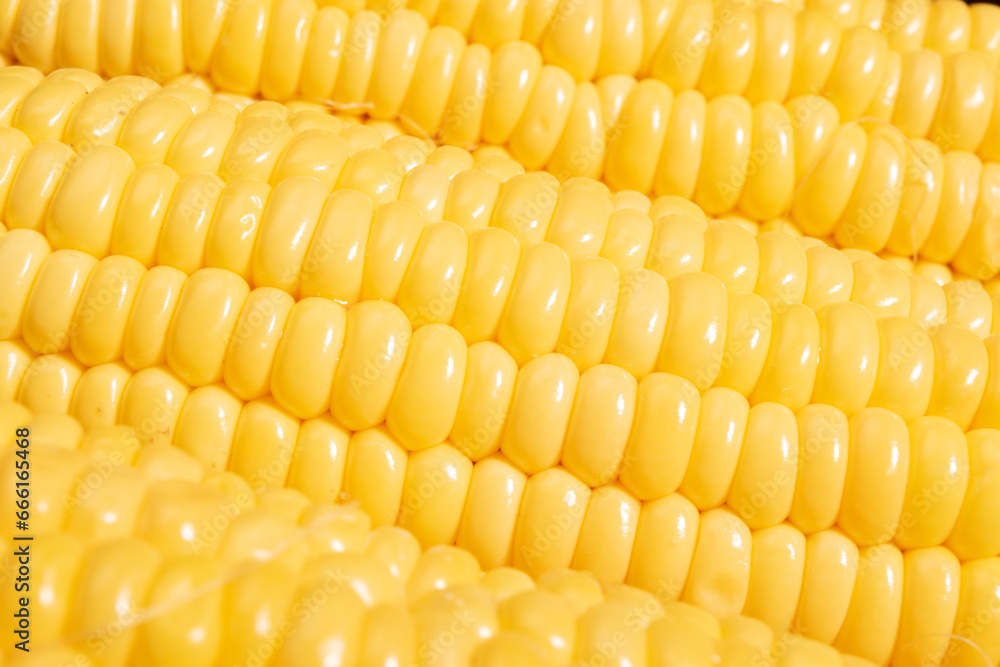 Corn texture background healthy food Corn texture background healthy food