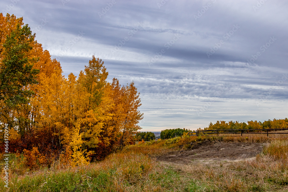 A drive through Foothills County Alberta Canada