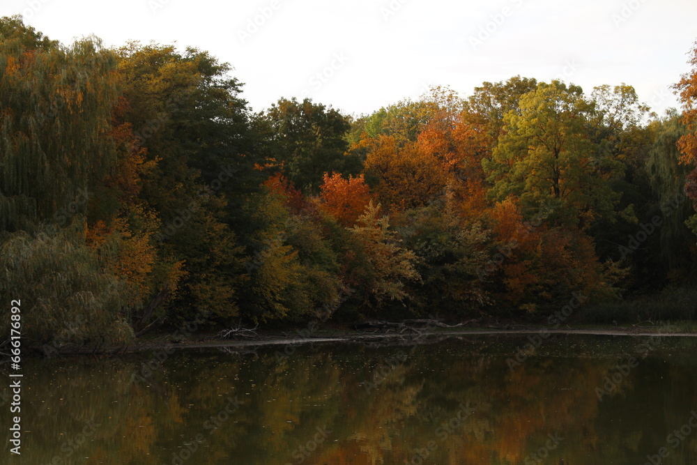 A river with trees on the side