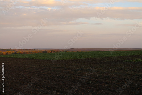 A field with dirt and grass