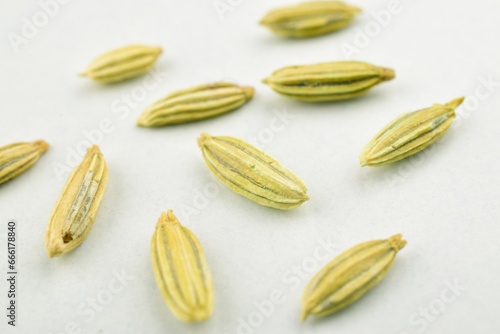 Closeup of fennel seeds on white background