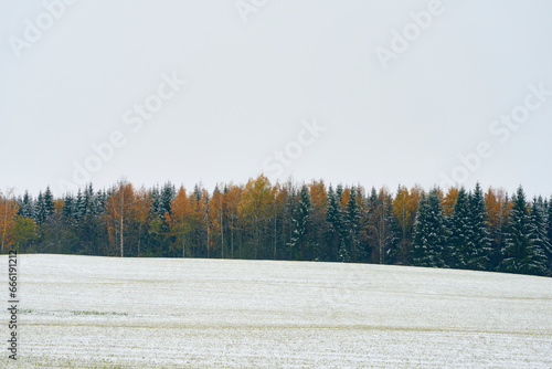 Winter in fall, Toten, Norway.