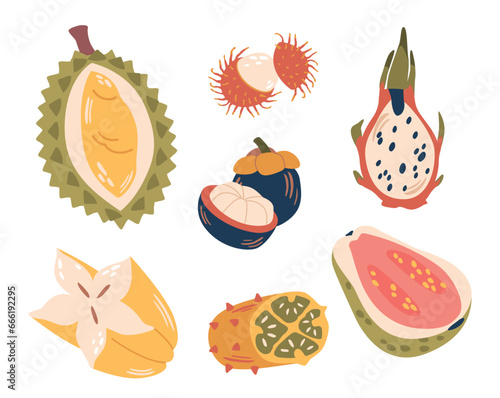 Tropical Fruits Set, Burst Of Exotic Flavors, Vibrant Colors, And Rich Nutrients. From Succulent Durian, Lychee
