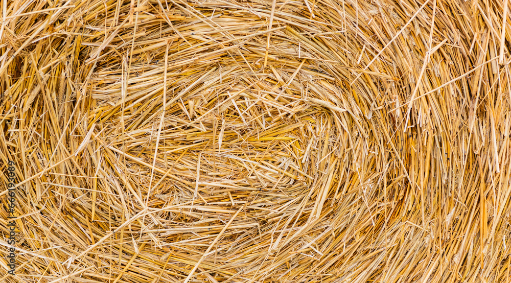 haystack straw prepared for farm. Stack dry hay. Hay texture. Hay bale is stacked in large stack. rural autumn with hay. straw summer background. Traditional haystack haystack straw prepared for farm. Stack dry hay. Hay texture. Hay bale is stacked in large stack. rural autumn with hay. straw summer background. Traditional haystack