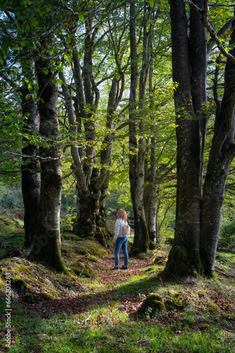 Lonely woman strolling through the enchanted forest of giant beech trees and contemplating the landscape, Alava, Spain. © josemiguelsangar