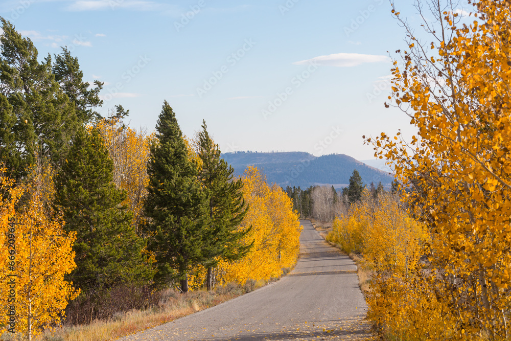 Obraz premium Autumn road