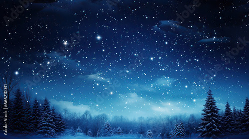night landscape with stars in winter © RDO