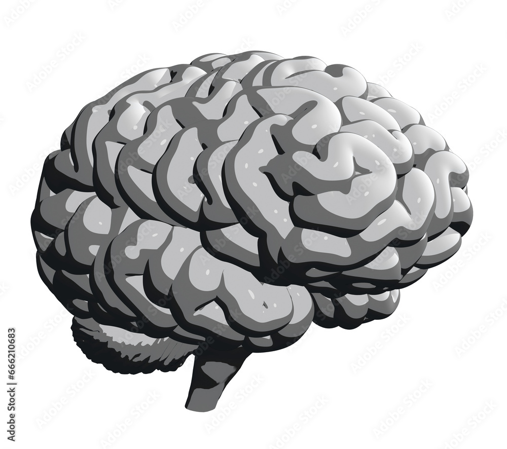 Isolated Grey Human Brain, Half Turn View. 3D Illustration Isolated Grey Human Brain, Half Turn View. 3D Illustration