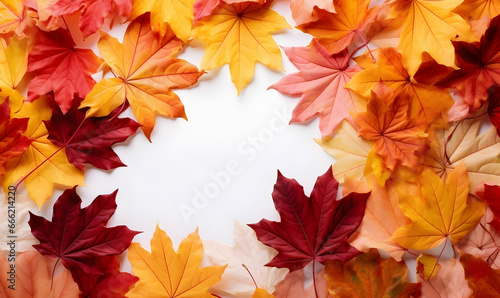 Autumn Season  maple leaf background on autumn or spring season  red and orange maple leaf falling down on the ground in an autumn season  Single maple leaf  Isolated autumn background