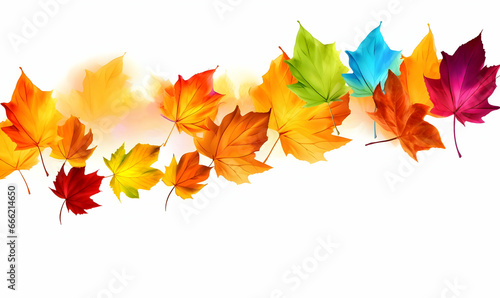 Autumn Season, maple leaf background on autumn or spring season, red and orange maple leaf falling down on the ground in an autumn season, Single maple leaf, Isolated autumn background