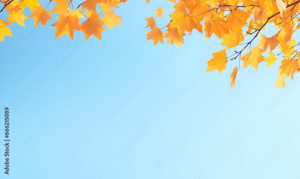 Autumn Season, maple leaf background on autumn or spring season, red and orange maple leaf falling down on the ground in an autumn season, Single maple leaf, Isolated autumn background Autumn Season, maple leaf background on autumn or spring season, red and orange maple leaf falling down on the ground in an autumn season, Single maple leaf, Isolated autumn background