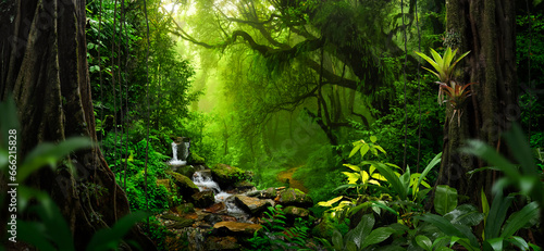 Foto Tropical rain forest with river