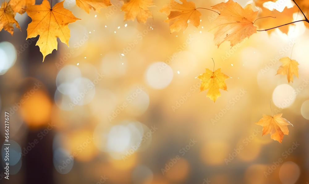 Autumn Season, maple leaf background on autumn or spring season, red and orange maple leaf falling down on the ground in an autumn season, Single maple leaf, Isolated autumn background Autumn Season, maple leaf background on autumn or spring season, red and orange maple leaf falling down on the ground in an autumn season, Single maple leaf, Isolated autumn background