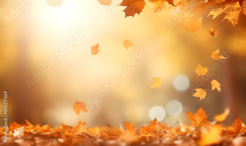 Autumn Season, maple leaf background on autumn or spring season, red and orange maple leaf falling down on the ground in an autumn season, Single maple leaf, Isolated autumn background