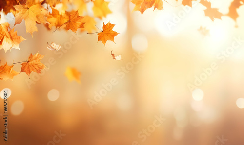 Autumn Season, maple leaf background on autumn or spring season, red and orange maple leaf falling down on the ground in an autumn season, Single maple leaf, Isolated autumn background