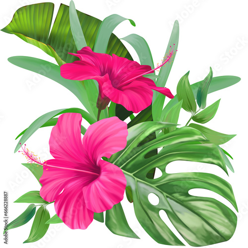 Bouquet of pink flowers isolated. Tropical orchid flowers  hibiscus  paradise flower  plumeria. Summer bouquet  exotic