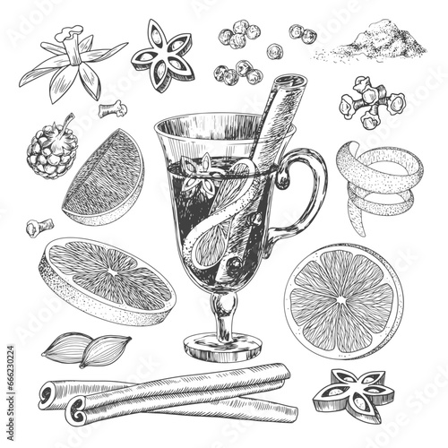 Engraving style glass of mulled wine. Sketch style set of ingredients for mulled wine. Black and white hand drawn illustration with winter drinks. Anise, cinnamon, orange, lime, cloves, raspberry