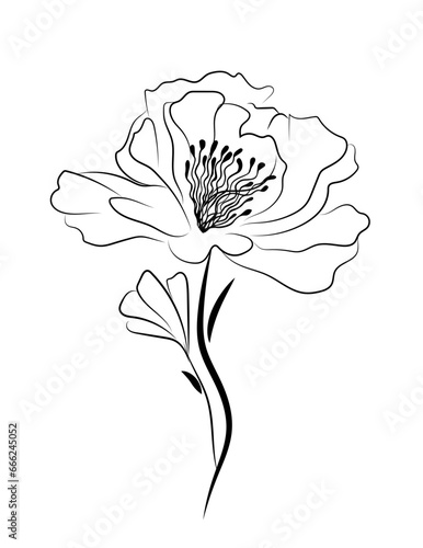 Botanical arts. Flower line abstraction. hand drawing. Not AI, Illustrat3. Vector illustration