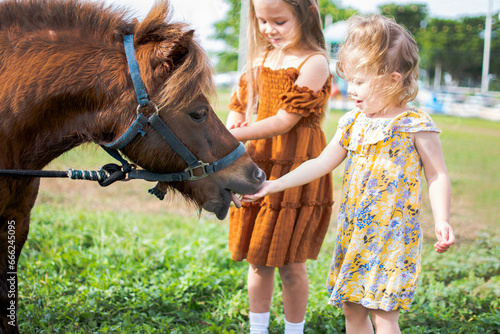 Two little girls feeding a pony. Farm and kids. Fall fun activities for children at the farm. Feeding farm animals. 