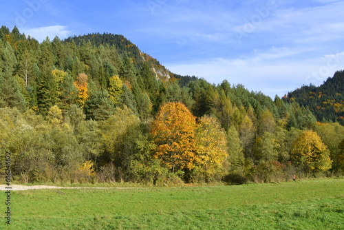 Pieniny, góry, jesień, park, Małopolska, Polska, szlak turystyczny, drzewa, kolorowe