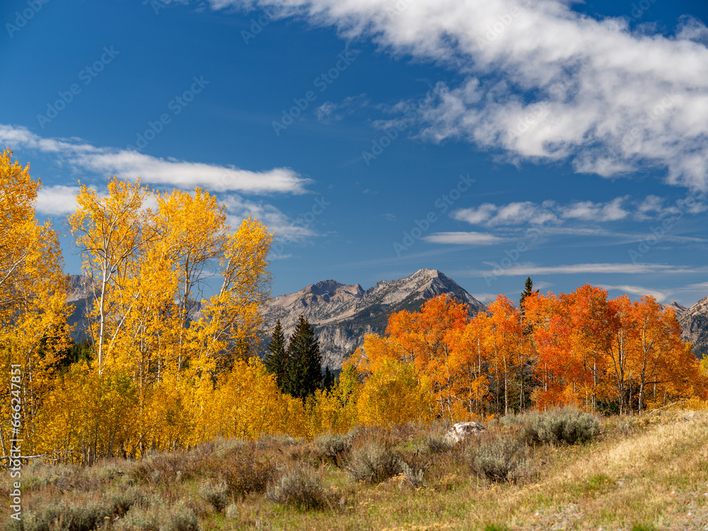 Sawtooth mountains of Idaho with autumn colored trees Sawtooth mountains of Idaho with autumn colored trees