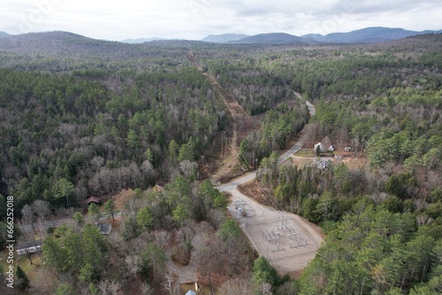 Electric lines in forest