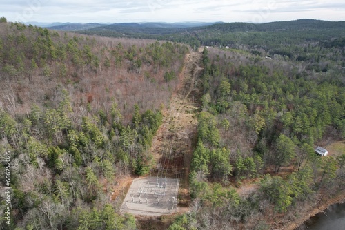 Electric lines in forest