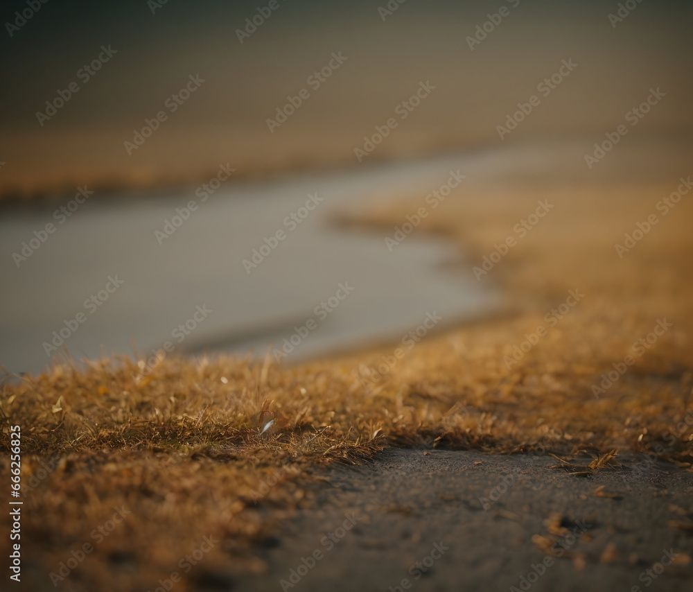 brown grass street texture wallpaper brown grass street texture wallpaper
