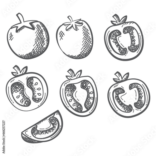 Organic food. Farm products.Isolated on white background.Line art.Vector illustration hand-drawn style.Sketch tomato.Vegetables slice and a whole tomato.