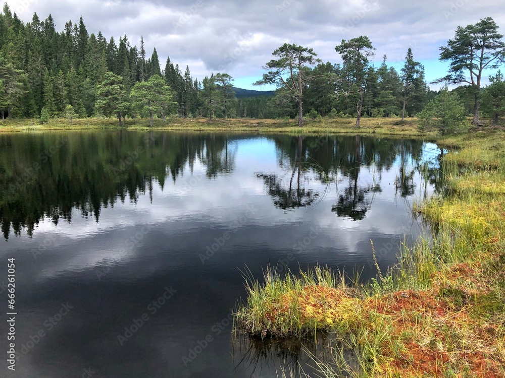 Obraz premium Cloudy day. Beautiful forest mountain lake. Trees reflected in the water