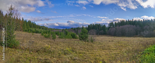 Autumn landscape green meadow and forest in the background against the backdrop of a beautiful blue sky and white clouds. © Anatoliy