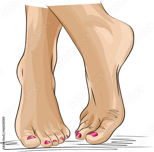 Beautiful female feet. Hand drawn of realistic human feet. Healthy foot.