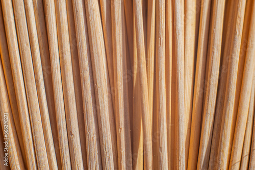 Background of a millet broom fibers