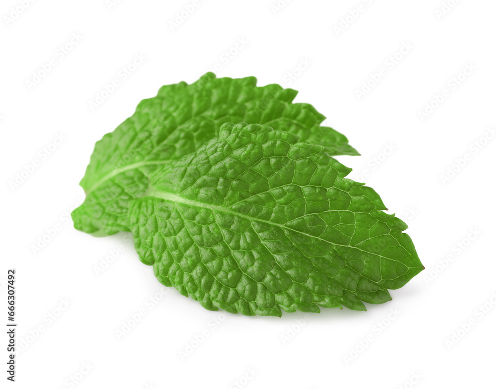 Fresh green mint leaves isolated on white Fresh green mint leaves isolated on white