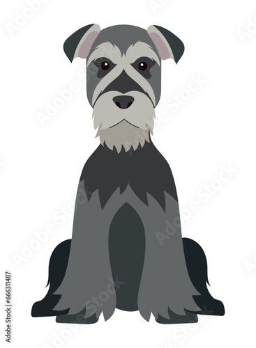 dog schnauzer illustration