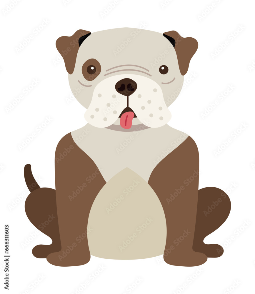 Fototapeta premium dog shar pei