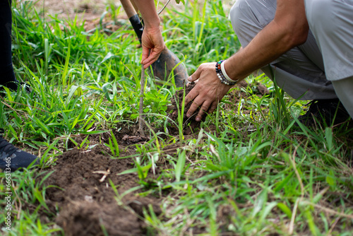 Voluntariado preparando a terra para o plantio de uma muda de árvore para o reflorestamento de uma área devastada. Imagem de sustentabilidade e ativismo ecológico.