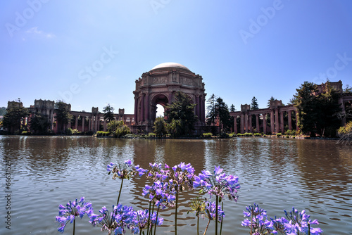 Flowers by the Palace of Fine Arts - San Francisco  California