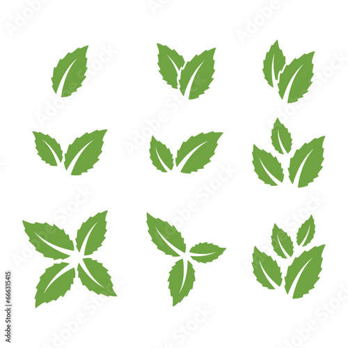 Green leaf ecology nature element vector icon. Leaf Icon. green leaf ecology nature element vector. leaf logo for graphic and web design © pambudi