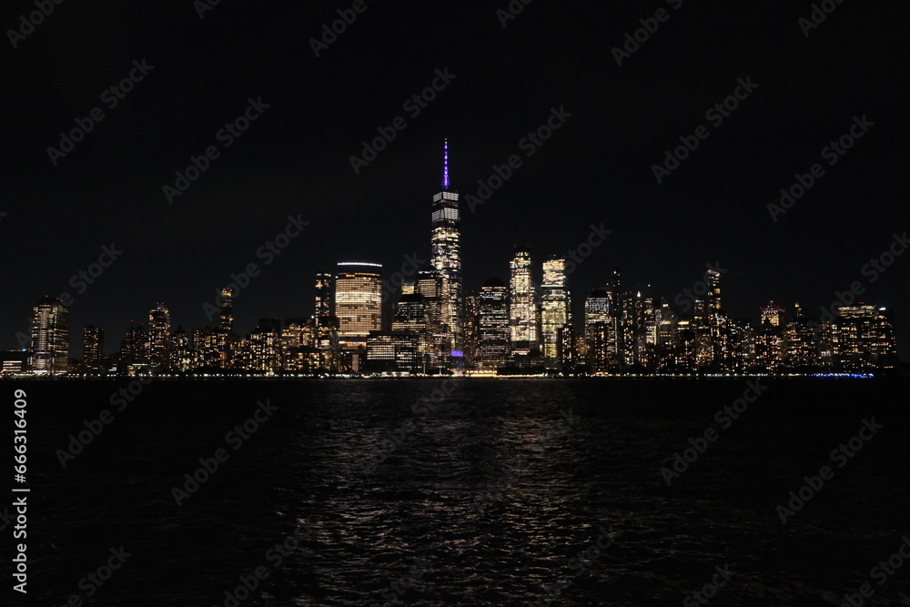 Fototapeta premium city skyline at night