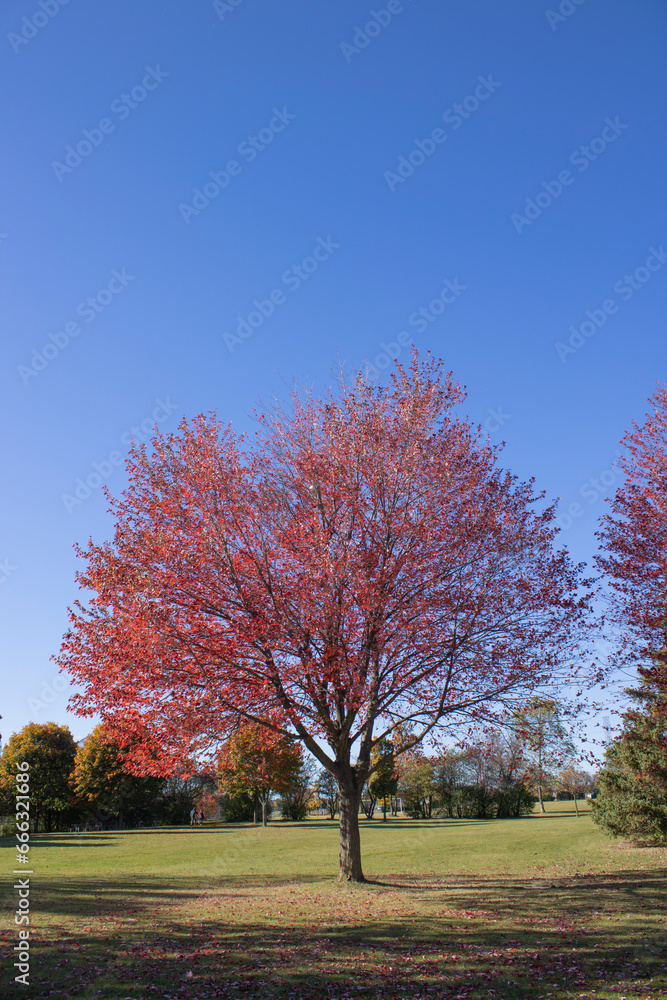 Centennial Park in Etobicoke, Ontario